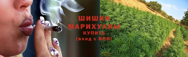 шишки Вяземский