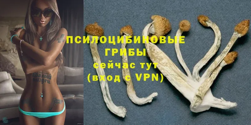 Галлюциногенные грибы Magic Shrooms  блэк спрут онион  Электрогорск 